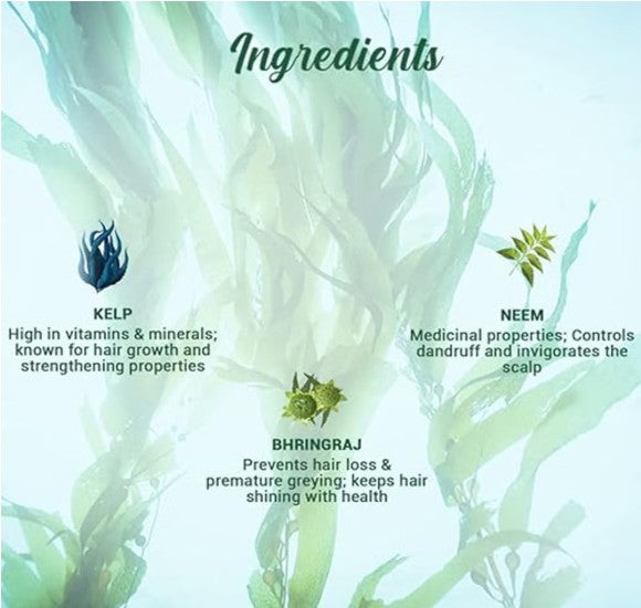 Biotique Ocean Kelp Anti Hairfall Shampoo |340ml