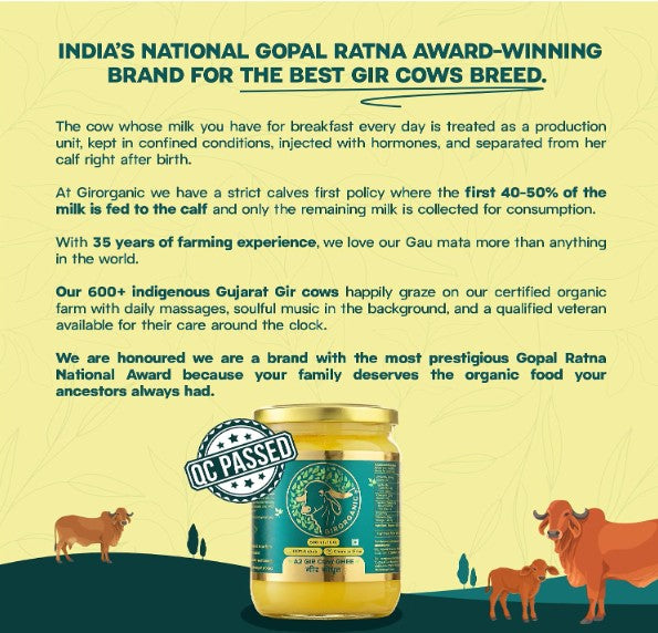 GirOrganic A2 Ghee 500ml - Pure Glass Bottle Ghee