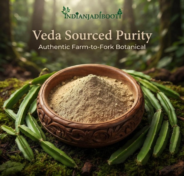 IndianJadiBooti HadJod (Cissus Powder) – Ayurvedic Herb for Bone & Joint Wellness