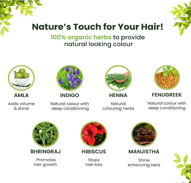 Radico Organic Hair Colour-Auburn Red