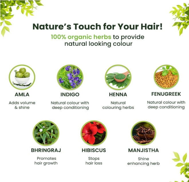 Radico Organic Hair Colour-Mahogany 100g