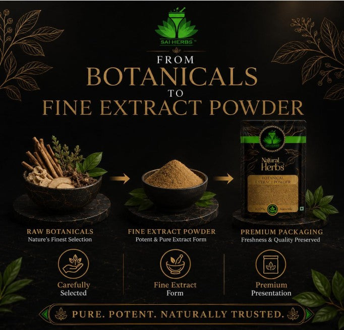 SAI HERBS Hadjod Siddha Extract Powder 500g