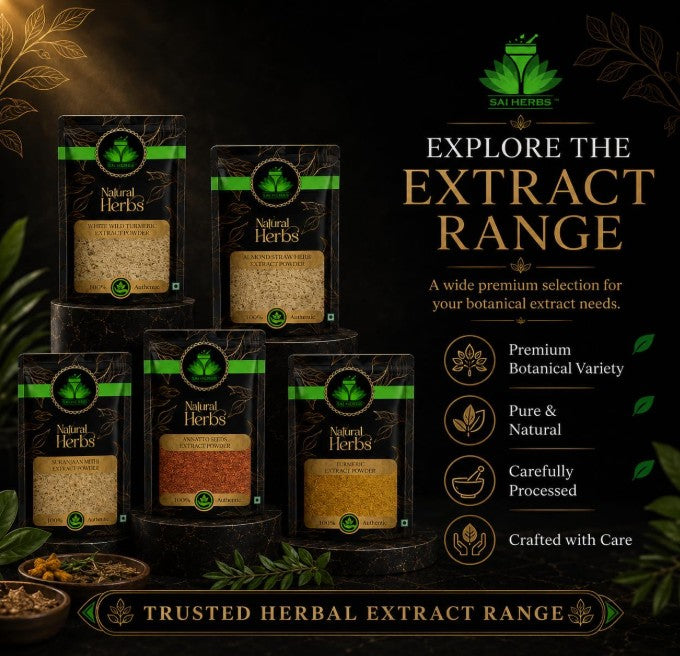 SAI HERBS Hadjod Siddha Extract Powder 500g